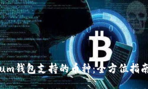 思考
详解Electrum钱包支持的币种:全方位指南与使用技巧