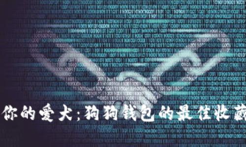 寻找你的爱犬：狗狗钱包的最佳收藏地点