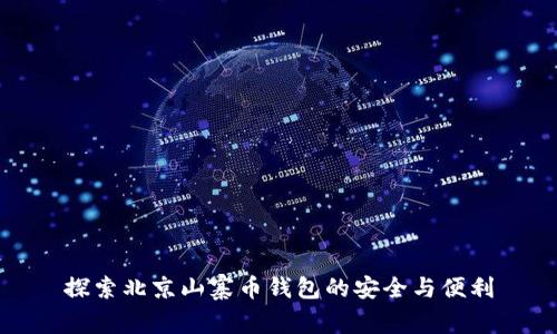 探索北京山寨币钱包的安全与便利