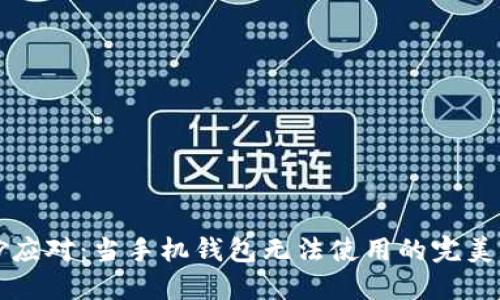 巧妙应对:当手机钱包无法使用的完美指南