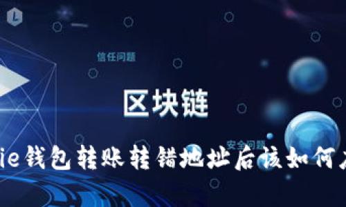 Bitpie钱包转账转错地址后该如何应对?