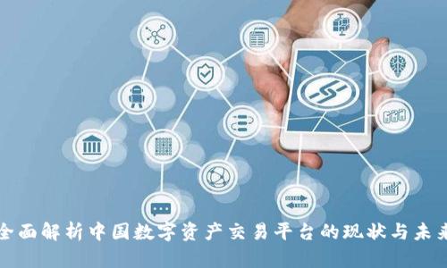 全面解析中国数字资产交易平台的现状与未来