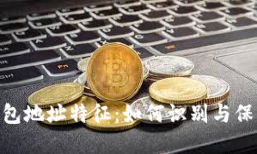 探秘ZEC钱包地址特征:如何识别与保护你的资产