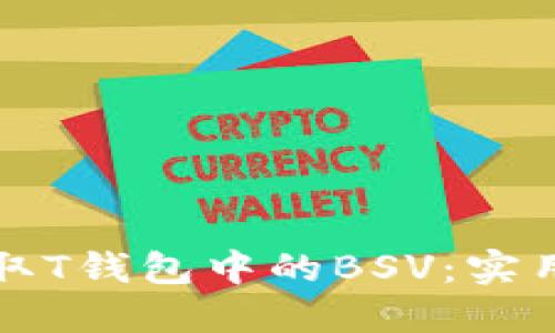 如何轻松获取T钱包中的BSV:实用指南与技巧