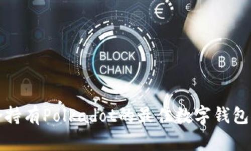 适合持有Polkadot的最佳数字钱包推荐