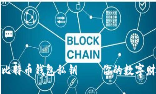深度解读比特币钱包私钥——你的数字财富保护伞