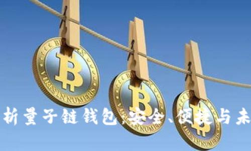 全面解析量子链钱包:安全、便捷与未来发展