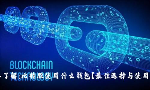 深入了解:比特股使用什么钱包?最佳选择与使用指南