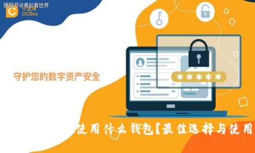 深入了解:比特股使用什么钱包?最佳选择与使用指南