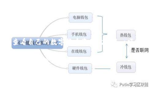 如何查看火币钱包：一步一步教你掌握数字资产管理

在这个数字货币迅速发展的时代，许多人都开始关注和投资比特币、以太坊等数字资产。作为一个新手，如何管理和查看自己的数字货币资产就成了一项重要的技能。而火币钱包作为一个流行的数字资产管理工具，拥有直观友好的界面和丰富的功能，是许多用户的首选。

本文将为你提供详细的指南，帮助你轻松查看火币钱包中的资产情况、进行交易和保护你的数字货币安全。准备好了吗？我们开始吧！

全面掌握火币钱包：轻松查看您的数字资产