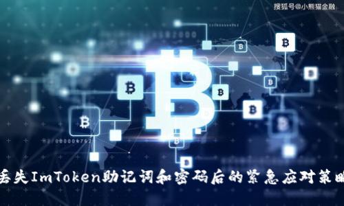 丢失ImToken助记词和密码后的紧急应对策略