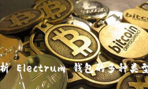 全面解析 Electrum 钱包的多种类型与特点