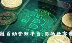 探秘区块链自助管理平台：你的数字资产新助手