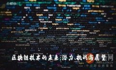 区块链技术的未来：潜力、挑战与展望
