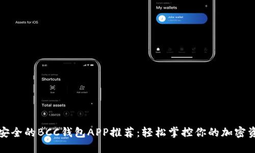最安全的BCC钱包APP推荐:轻松掌控你的加密资产